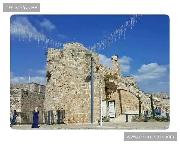 三分快三预测趋势分析与数据解读，提升中奖几率的实用方案